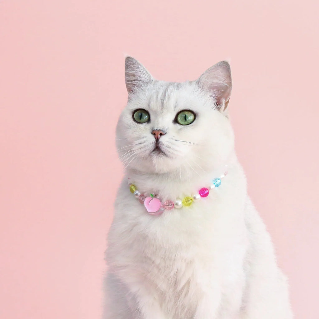 Colourful plastic bead cat necklace with small flower pattern on adjustable cord